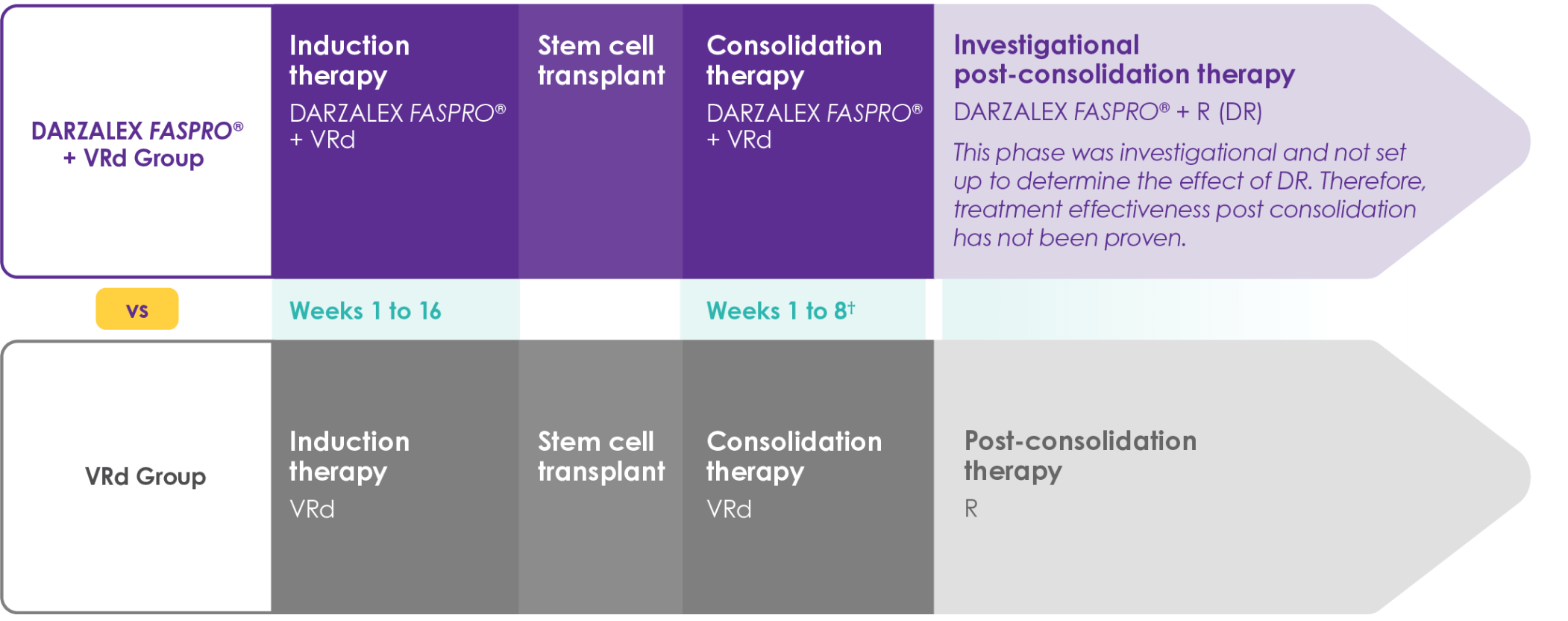 DARZALEX FASPRO® +VRd group treatment steps 1 through 4