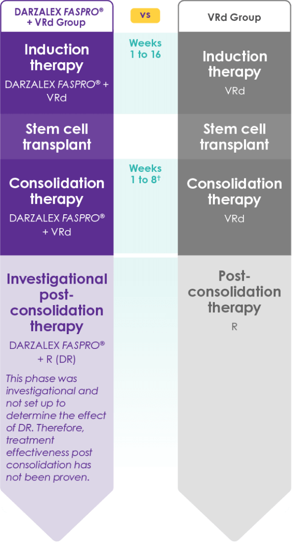 Treatment steps for DARZALEX FASPRO® +VRd group