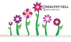 Healthy garden (representing normal bone marrow)