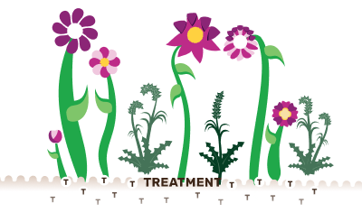 Impact of treatment on a garden (representing bone marrow)