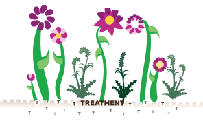 Impact of treatment on a garden (representing bone marrow)